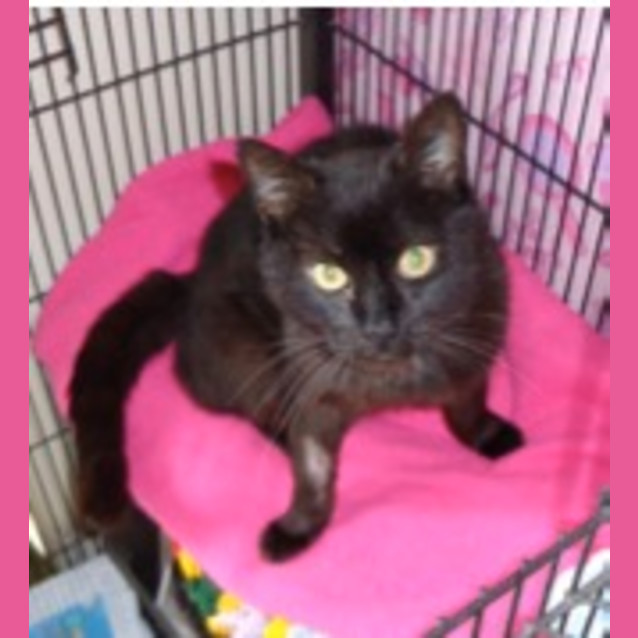 Photo of Salem