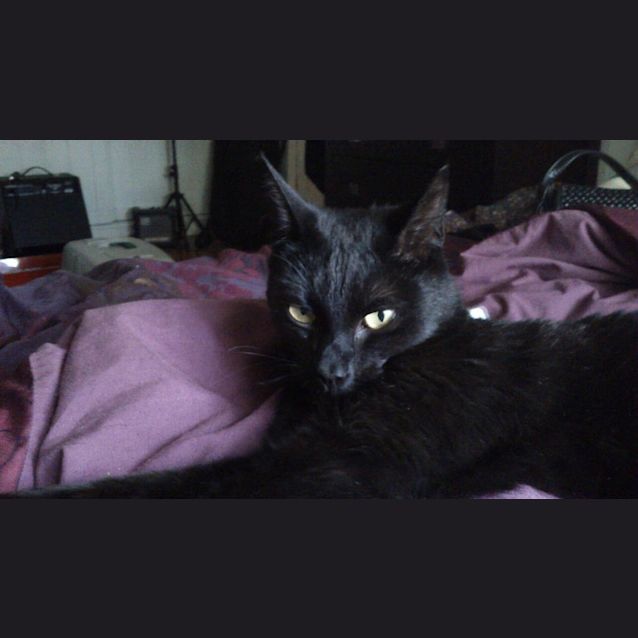 Photo of Rosie