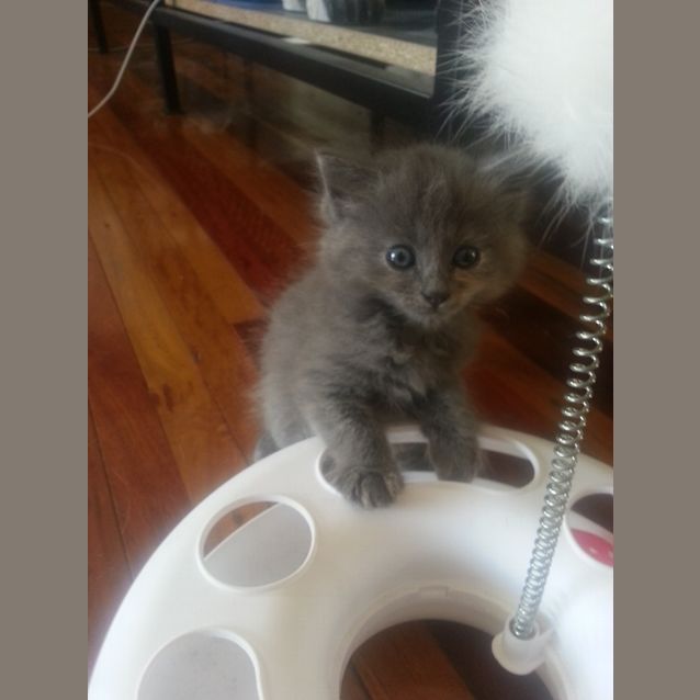 Photo of Milly