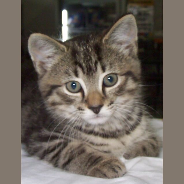 Photo of Kody