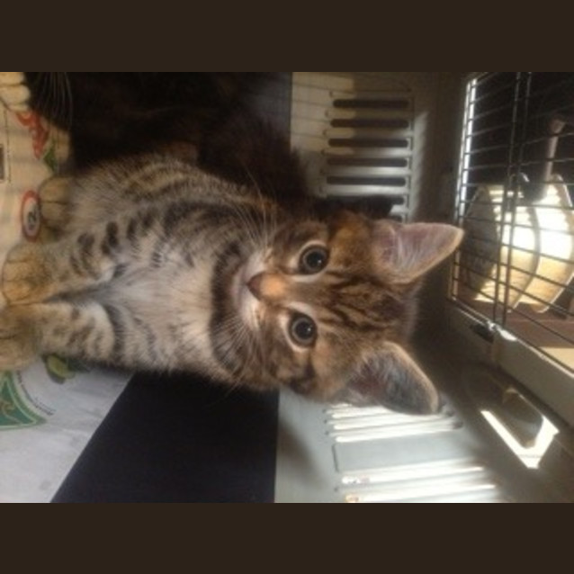 Photo of Ace