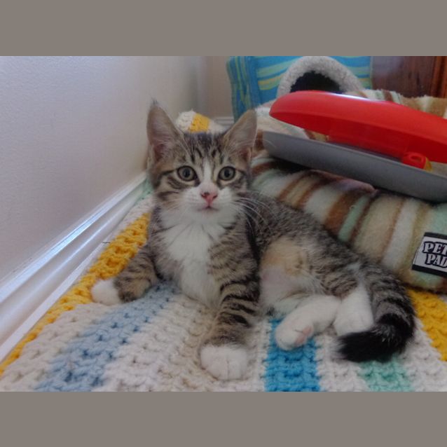 Photo of Betty