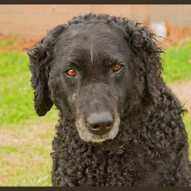 Photo of Maggie Id9716