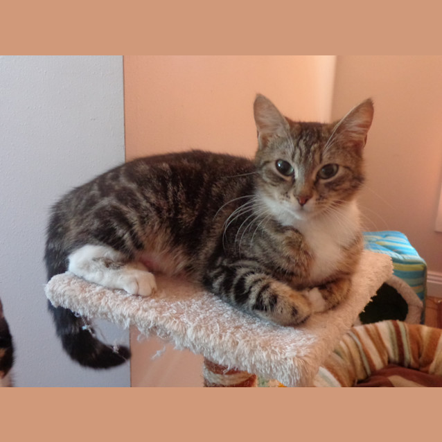 Photo of Tabitha