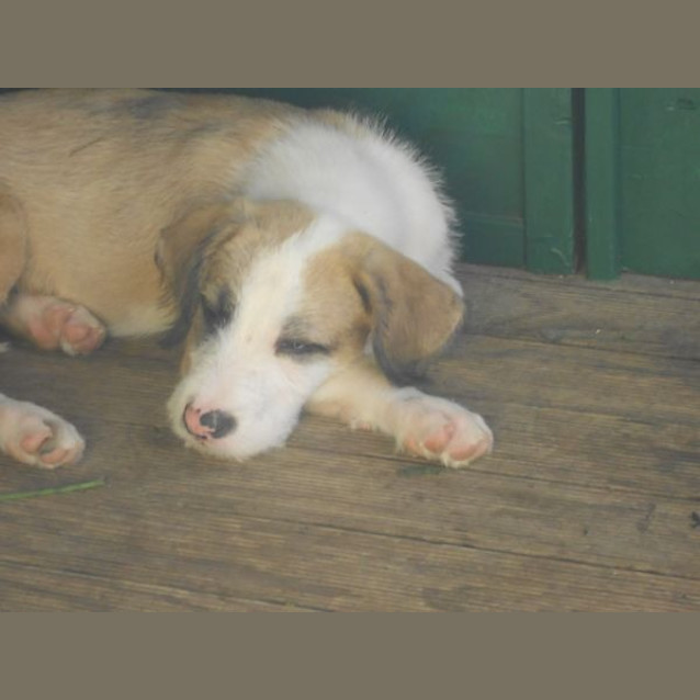Photo of Edward
