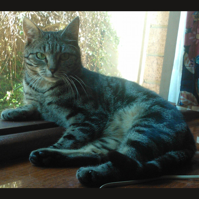 Photo of Jenny   On Trial Adoption 30/01/13  : )