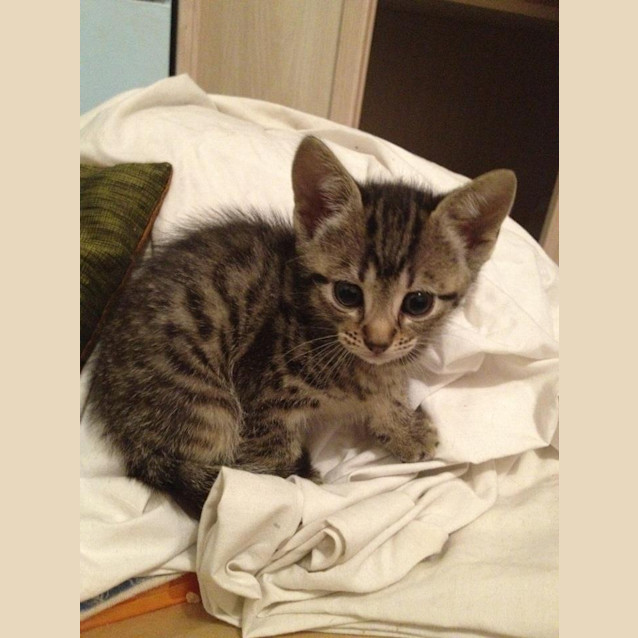 Photo of Peggy