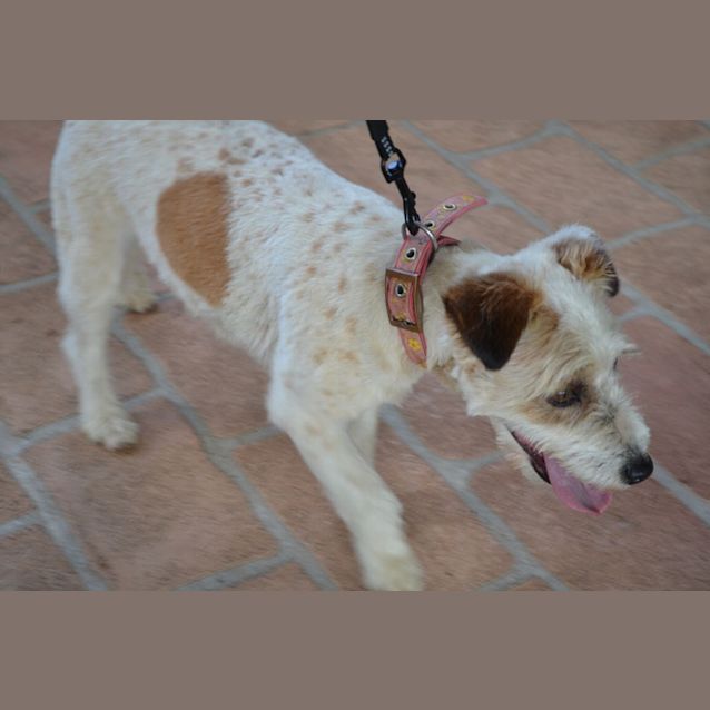 Photo of Scrap