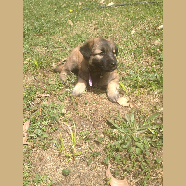 Photo of Heidi