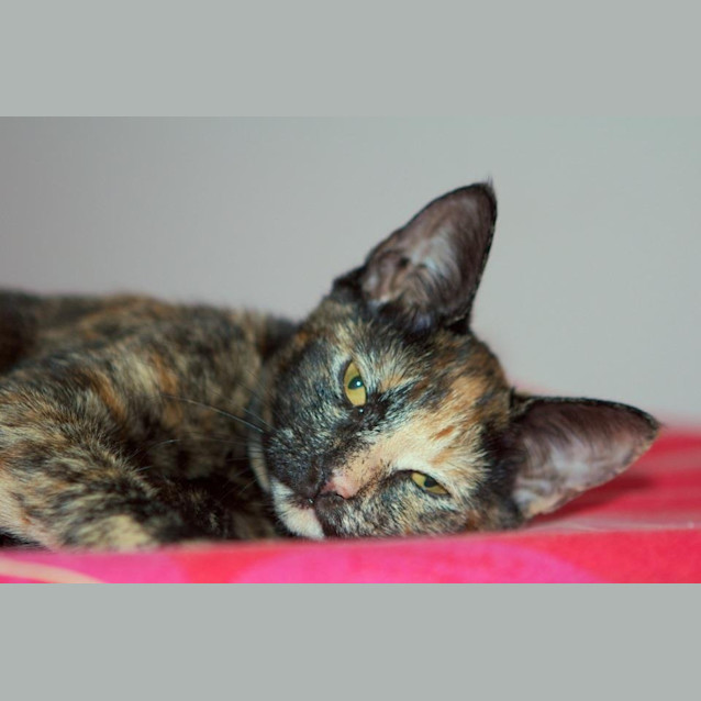 Photo of Micha