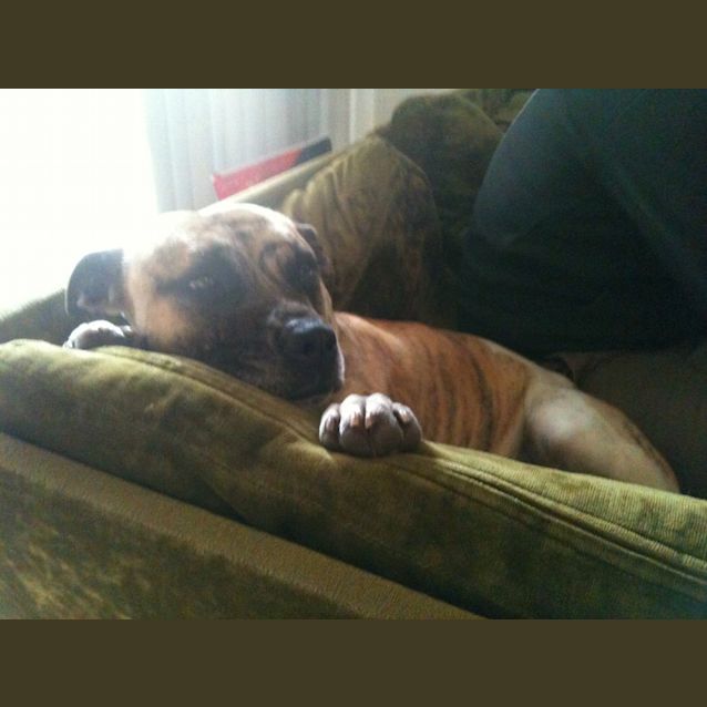 Photo of Boof ~~ I Have A Video ! 