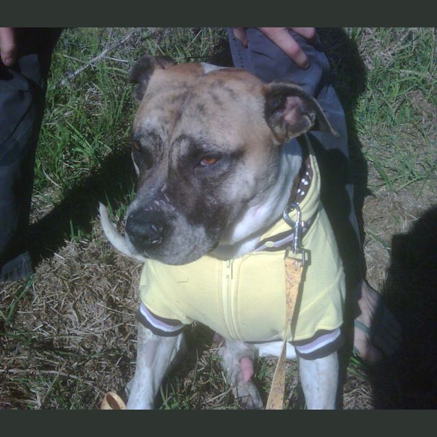 Photo of Boof ~~ I Have A Video ! 
