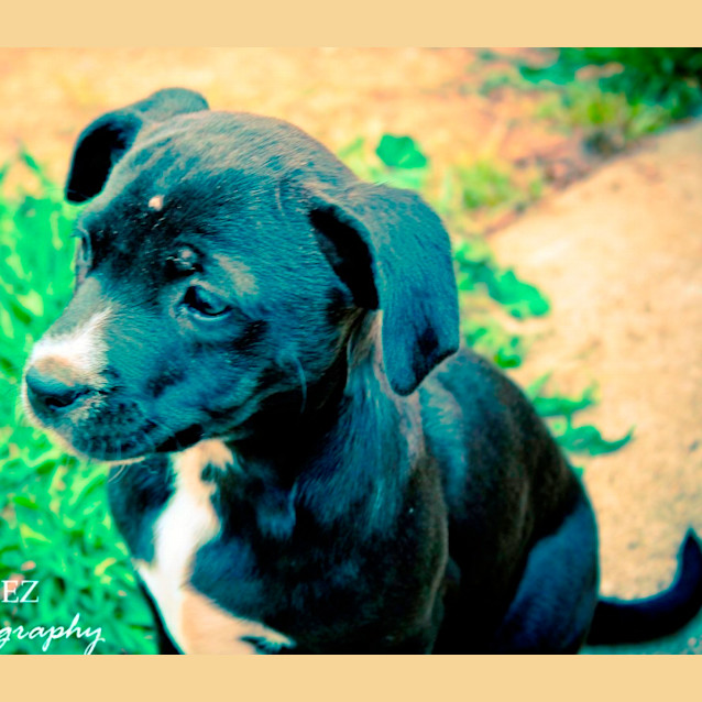 Photo of Sally