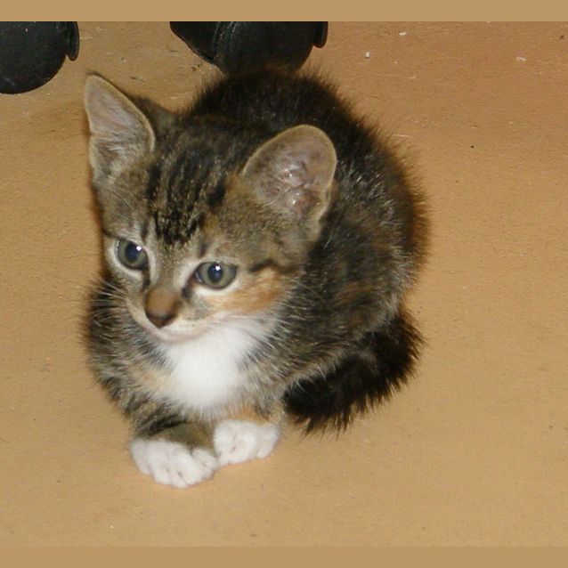 Photo of Mindy