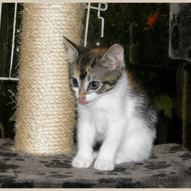 Photo of Tilly