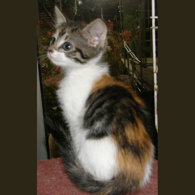 Photo of Tilly