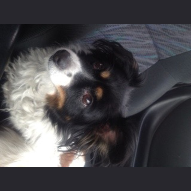 Photo of Roxy
