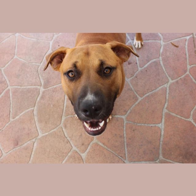 Photo of Halo (On Trial 8/1/13)