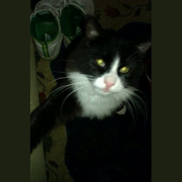 Photo of Eduardo