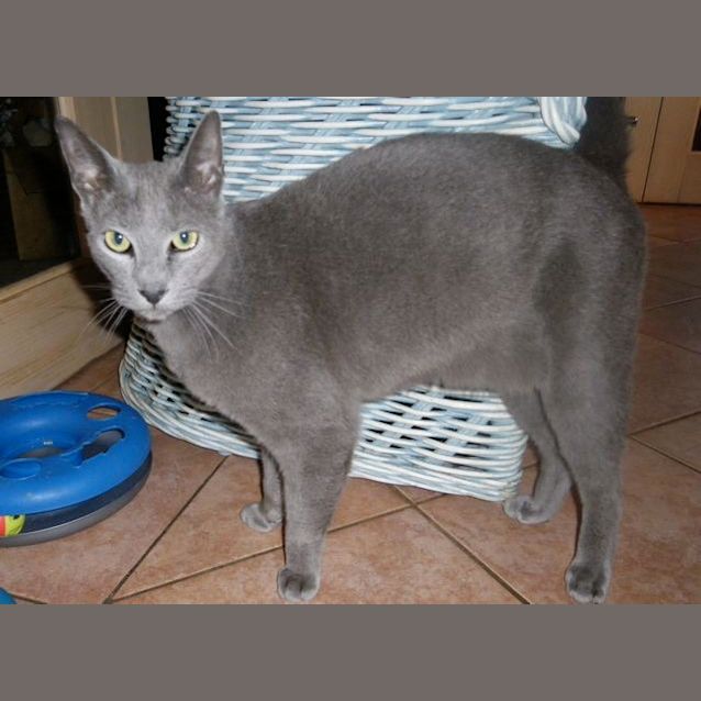 Photo of Kirill
