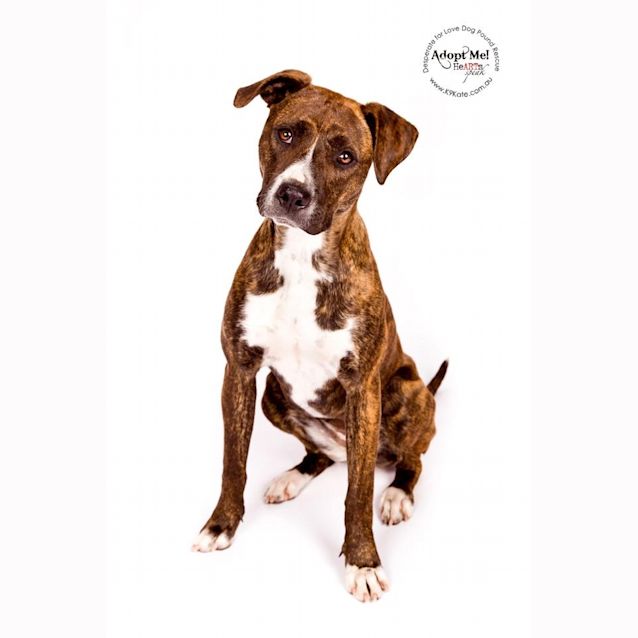 Photo of Zara   Playful Soul 