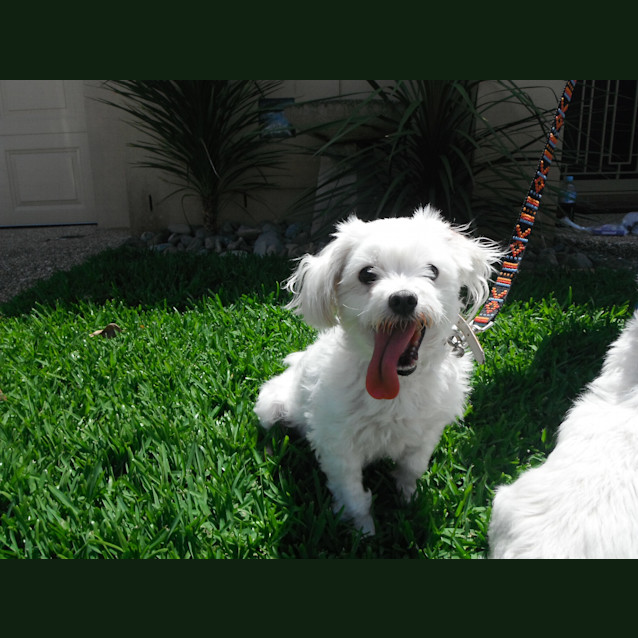 Photo of Buffy