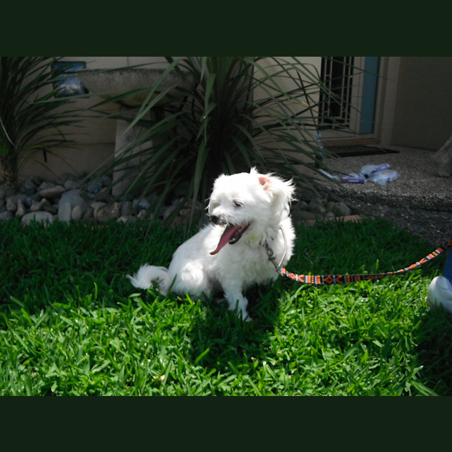 Photo of Buffy