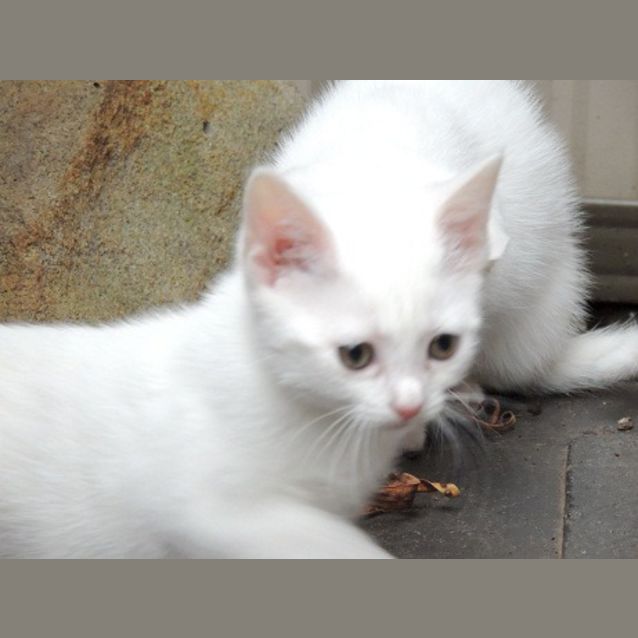 Photo of Lil
