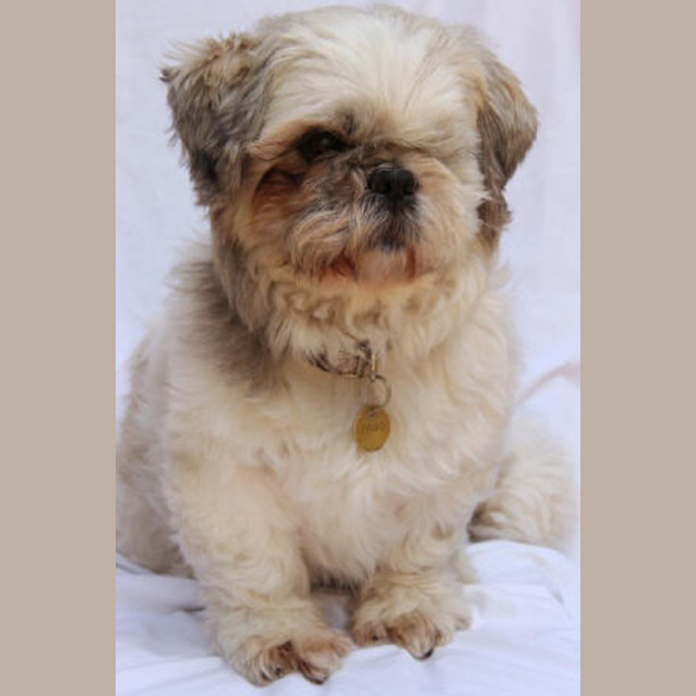 Photo of Frankie