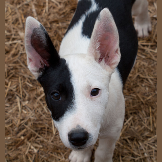 Photo of Lotti