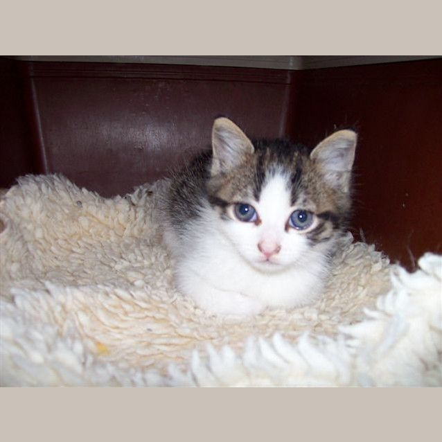 Photo of Baily