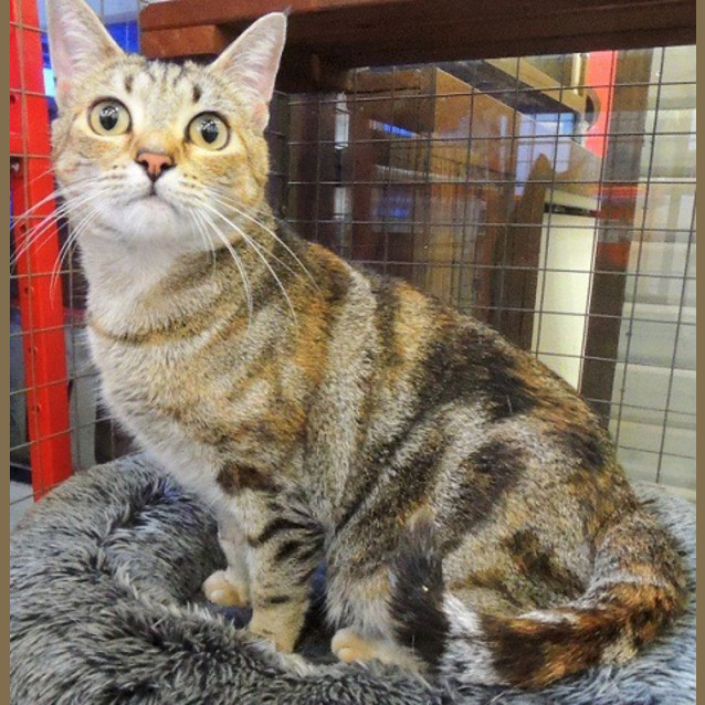 Photo of Talia