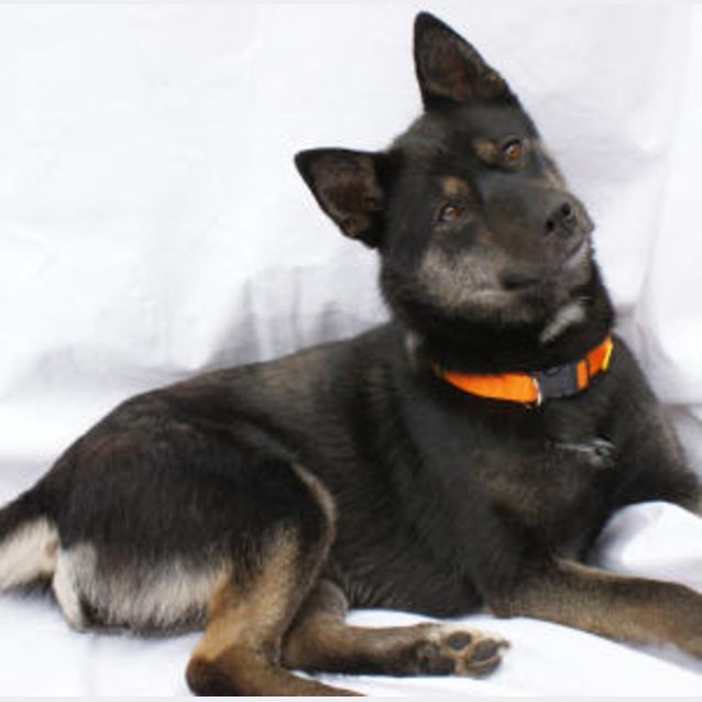 Photo of Lucy