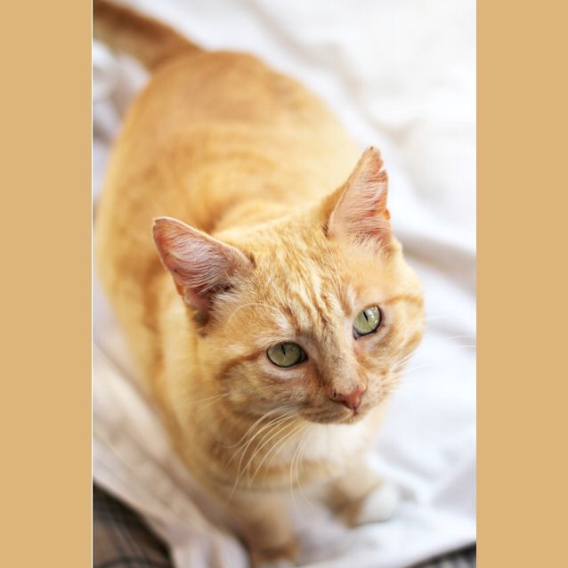 Photo of Hugo