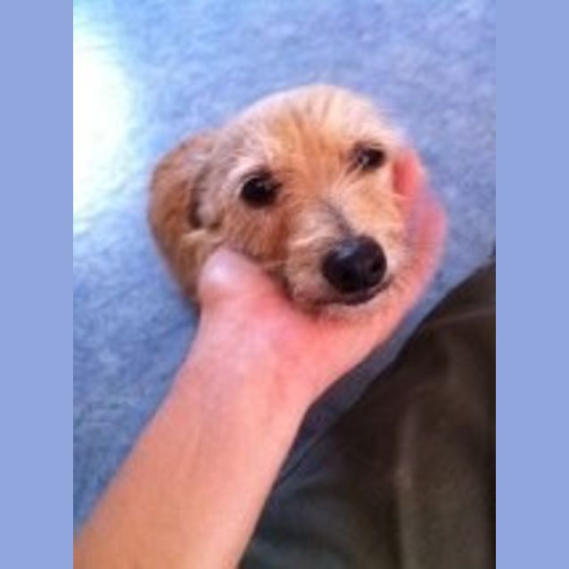 Photo of Flopsy (Jordy)