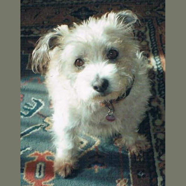 Photo of Sally