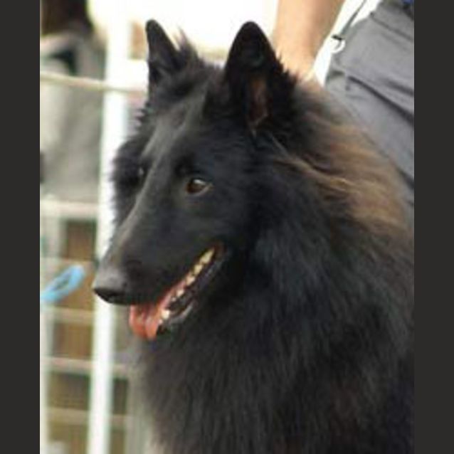 Photo of Nova