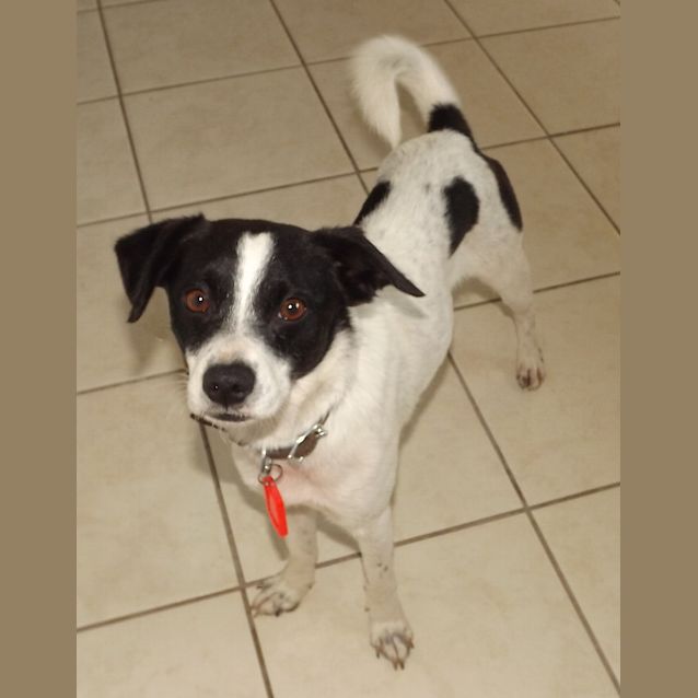 Photo of Spot On Trial