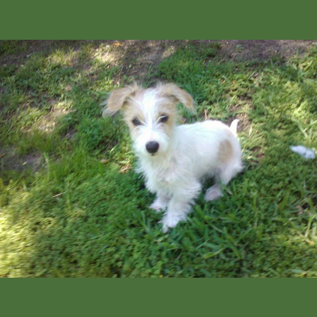 Photo of Jackie Chan (On Trial 13/12/12)