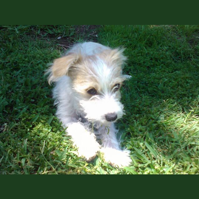 Photo of Jackie Chan (On Trial 13/12/12)