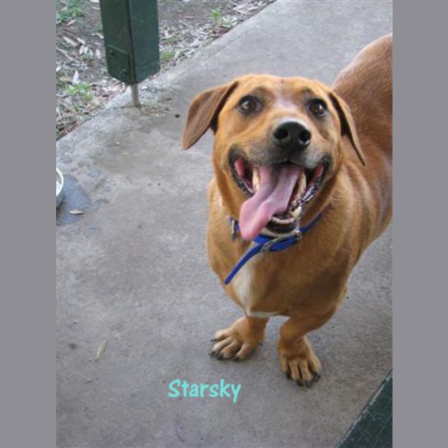 Photo of Starsky And Hutch (On Trial 17/3/13)