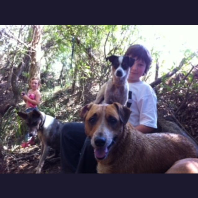 Photo of Starsky And Hutch (On Trial 17/3/13)