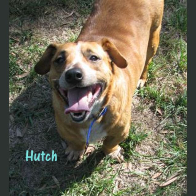 Photo of Starsky And Hutch (On Trial 17/3/13)
