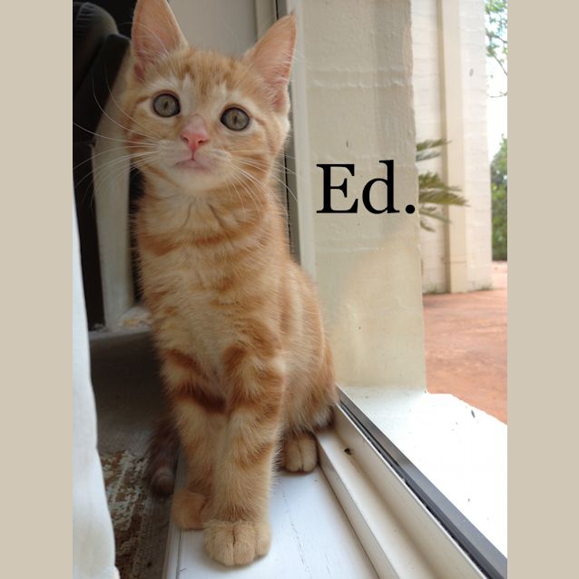 Photo of Ed