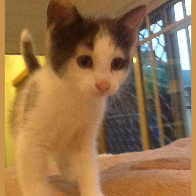 Photo of Mardie