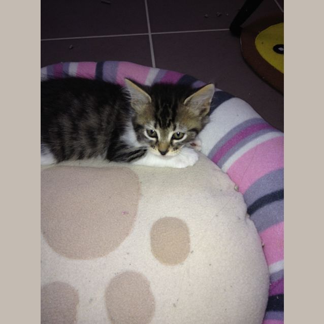 Photo of Frodo