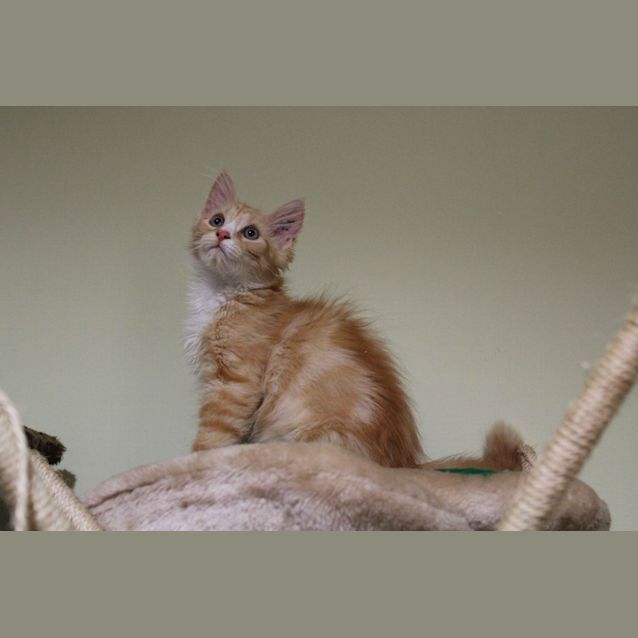 Photo of Reuben