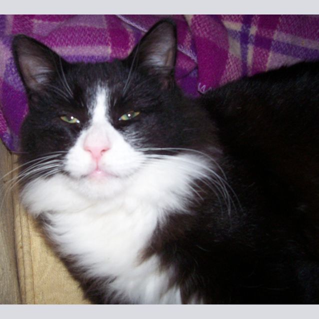 Photo of Ted