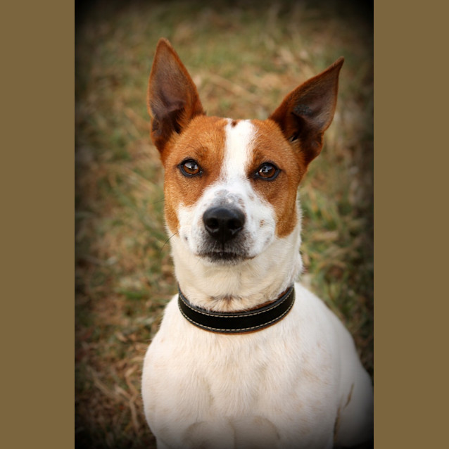 Photo of Buckley