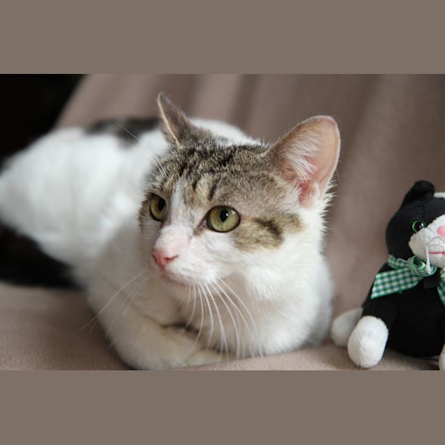 Photo of Jezzie